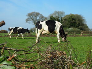 Topo 7 jours en pays de Herve ( à télécharger )