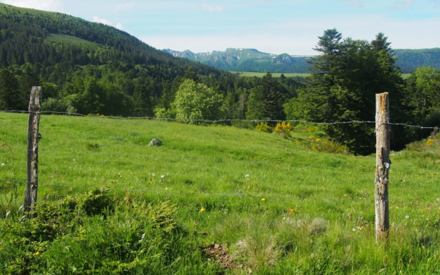 Auvergne : 4 jours en Sancy P6020096 Scaled 640x400