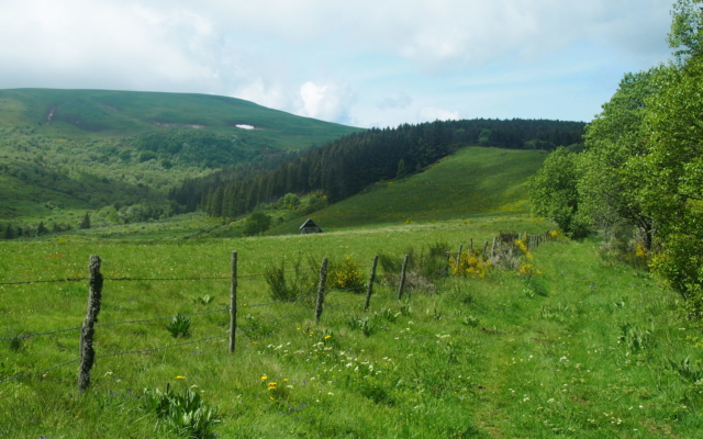 Auvergne : 4 jours en Sancy P6020119 Scaled 640x400