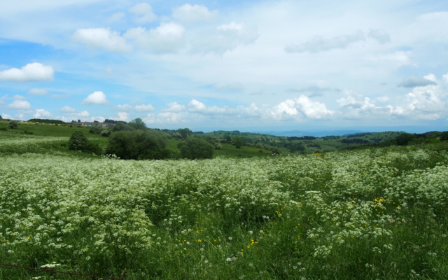 Auvergne : 4 jours en Sancy P6020125 Scaled 640x400